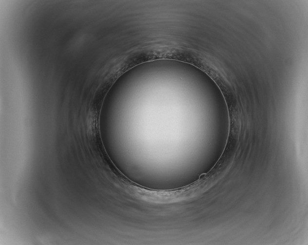 X0000116370034200912091247