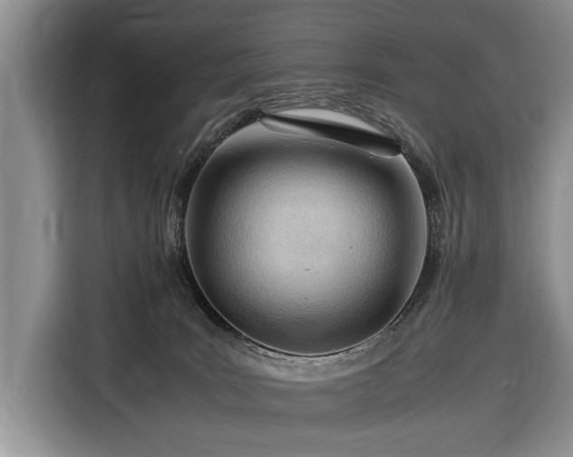 X0000116370035200912091247