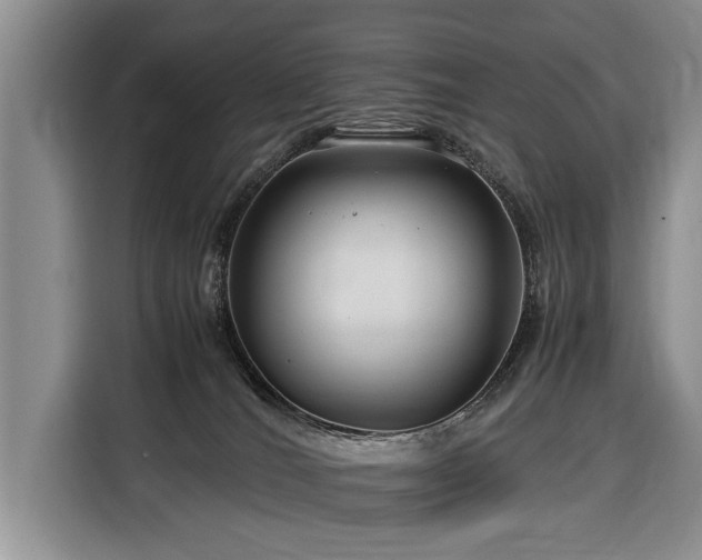 X0000116370036200912091247