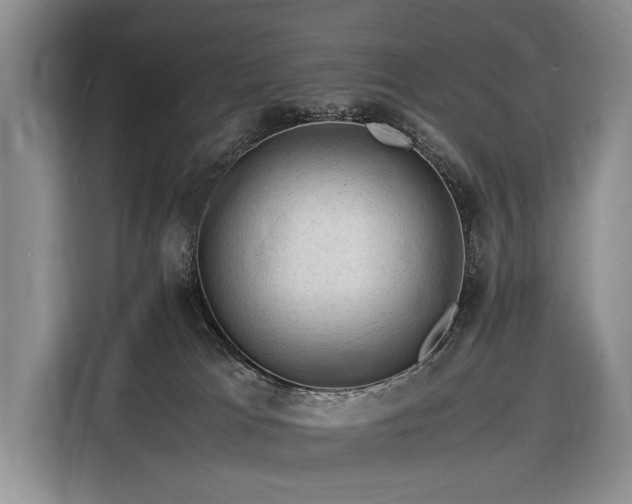 X0000116370037200912091247