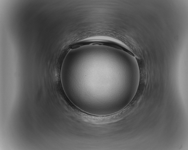 X0000116370039200912091247