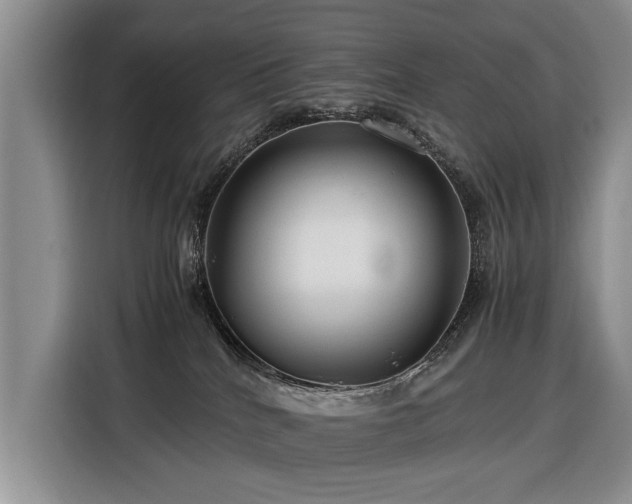 X0000116370040200912091246