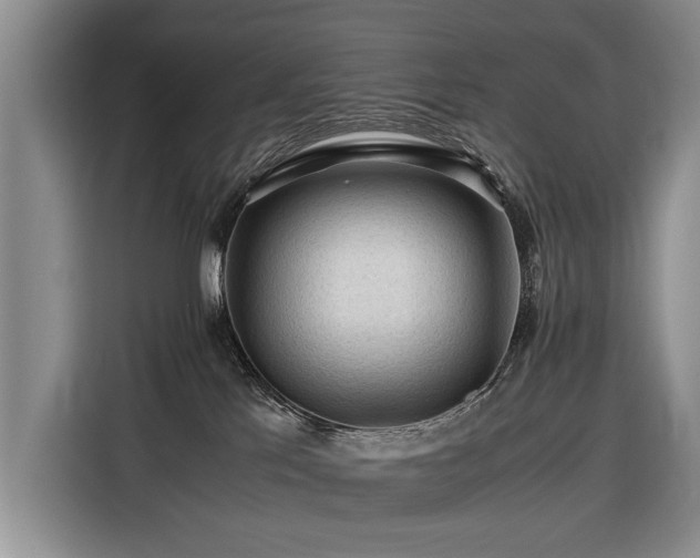 X0000116370041200912091246