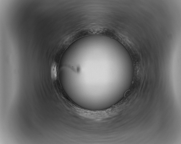 X0000116370042200912091246