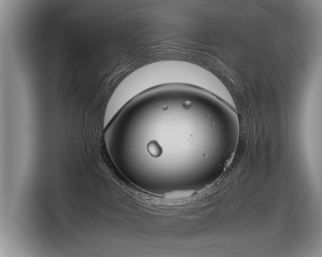 X0000116370043200912091246