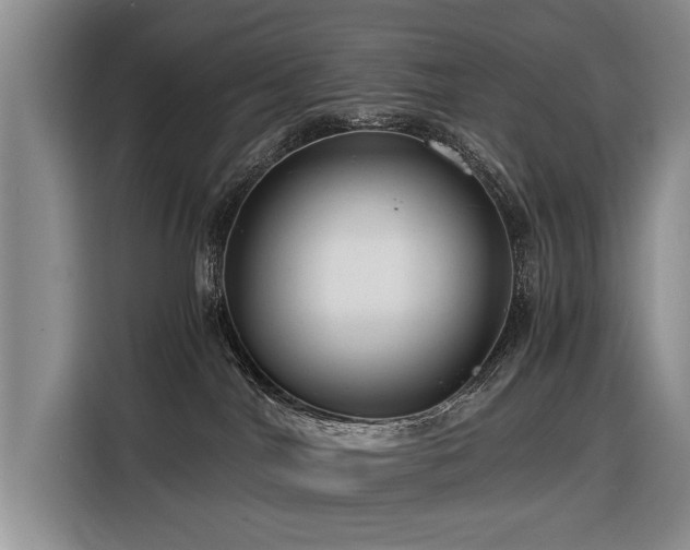 X0000116370044200912091246