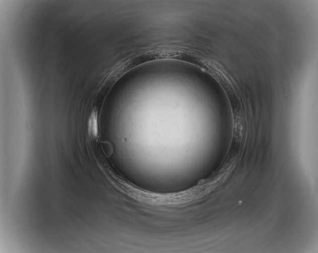 X0000116370046200912091246