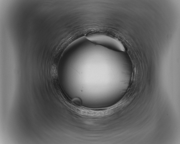 X0000116370048200912091246