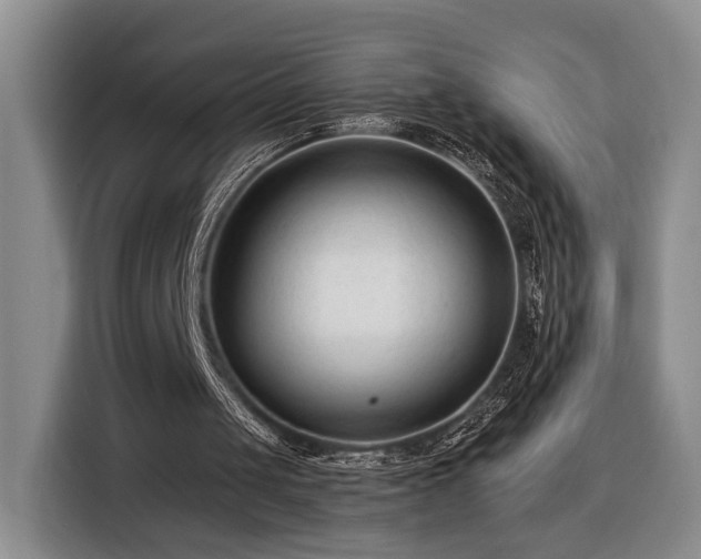 X0000116370049200912091246