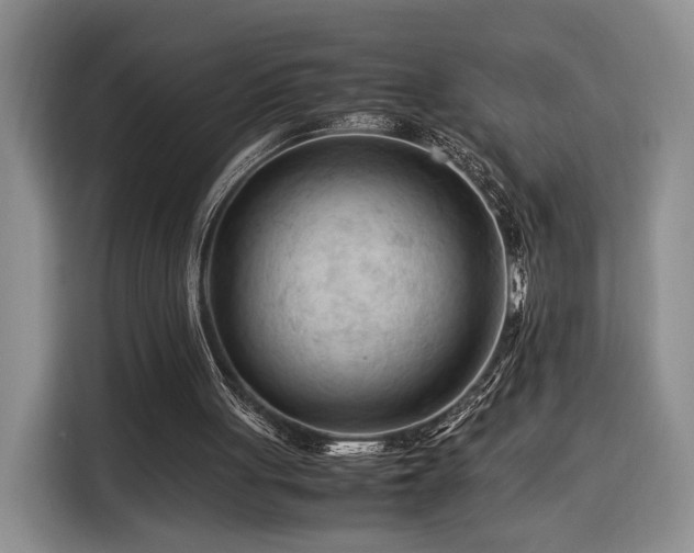 X0000116370051200912091246