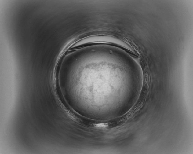 X0000116370053200912091246