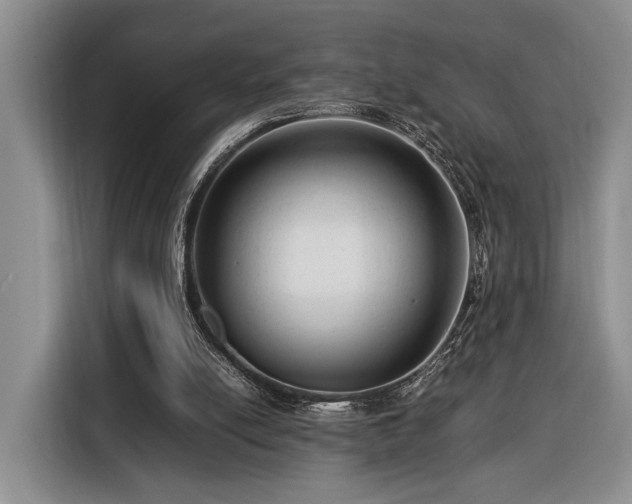 X0000116370054200912091246