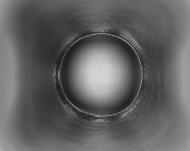 X0000116370058200912091246