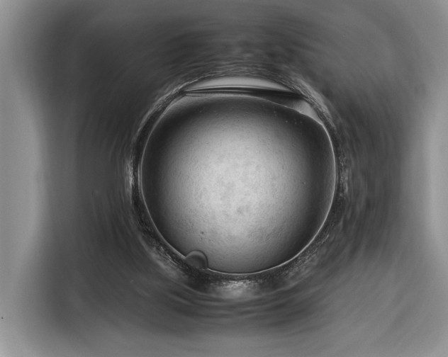 X0000116370059200912091246