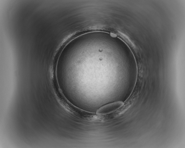 X0000116370060200912091246