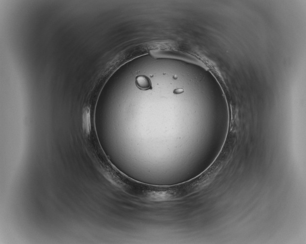 X0000116370061200912091246