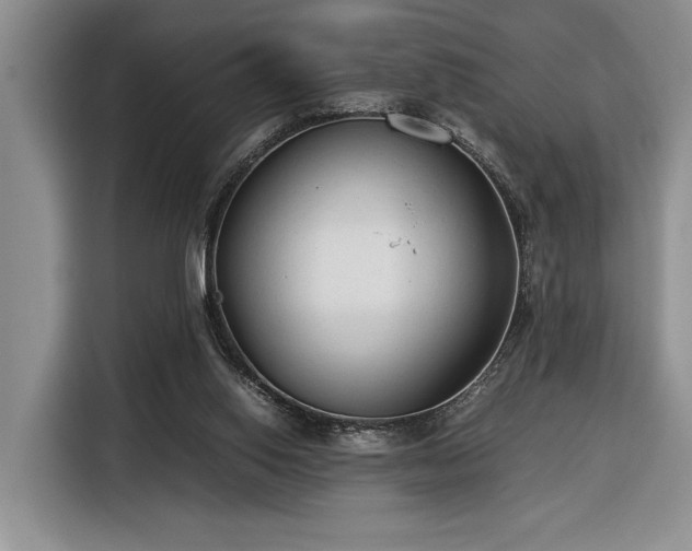 X0000116370062200912091246