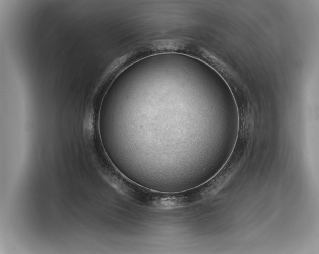 X0000116370064200912091246