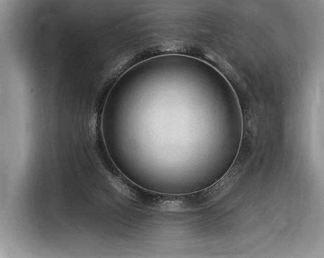 X0000116370066200912091246