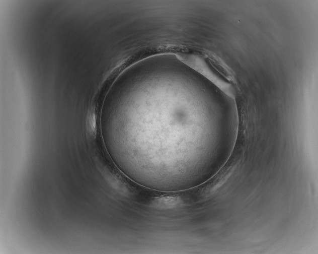 X0000116370067200912091246