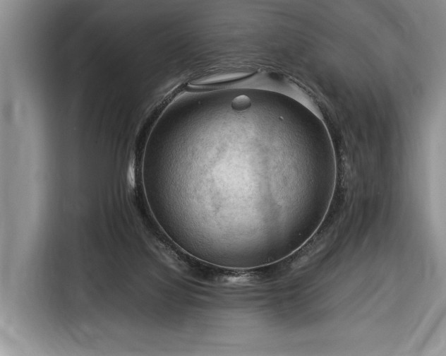 X0000116370068200912091246