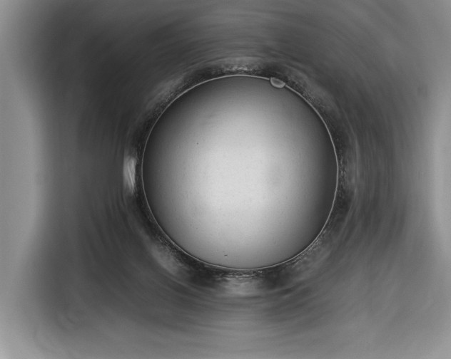 X0000116370070200912091246