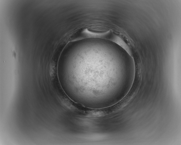 X0000116370073200912091246