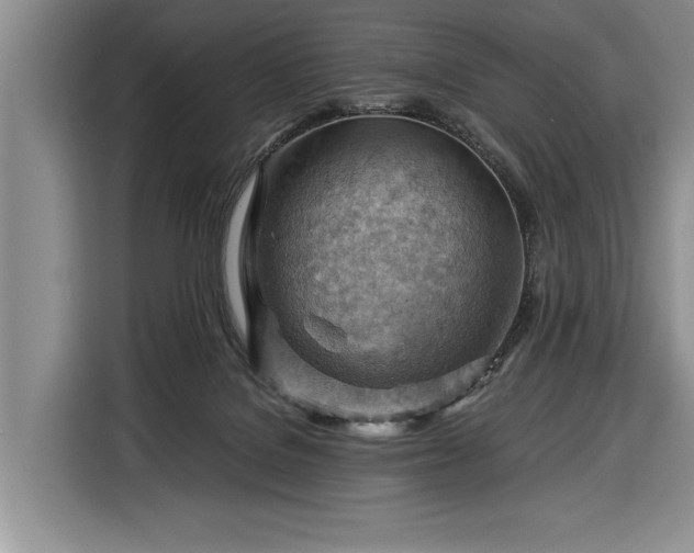 X0000116370076200912091246