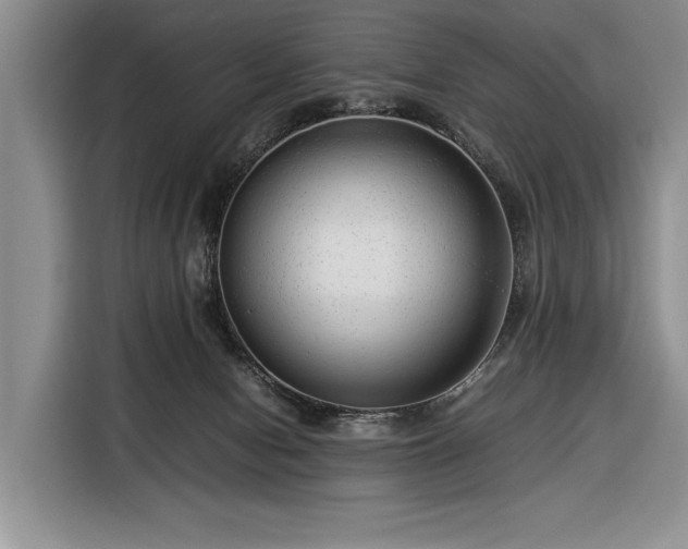 X0000116370078200912091246