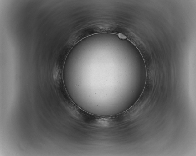 X0000116370079200912091246