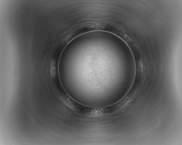 X0000116370080200912091246