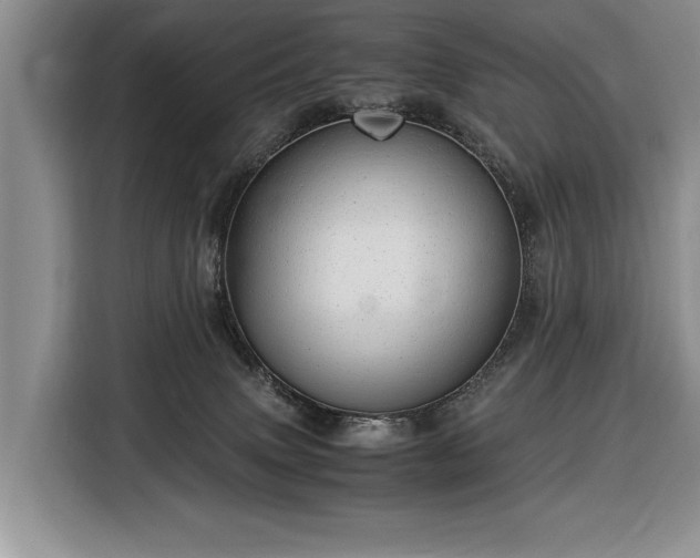 X0000116370083200912091246