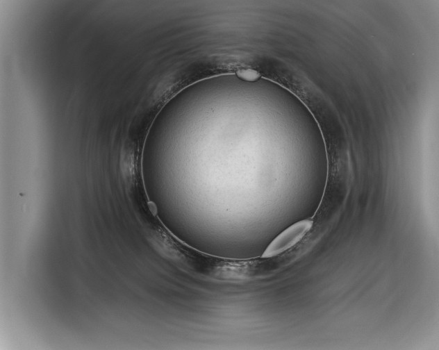 X0000116370084200912091246