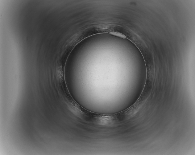 X0000116370085200912091246