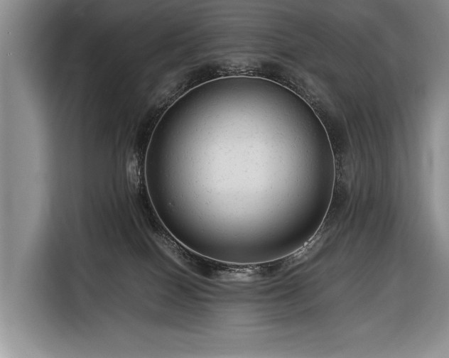 X0000116370086200912091246