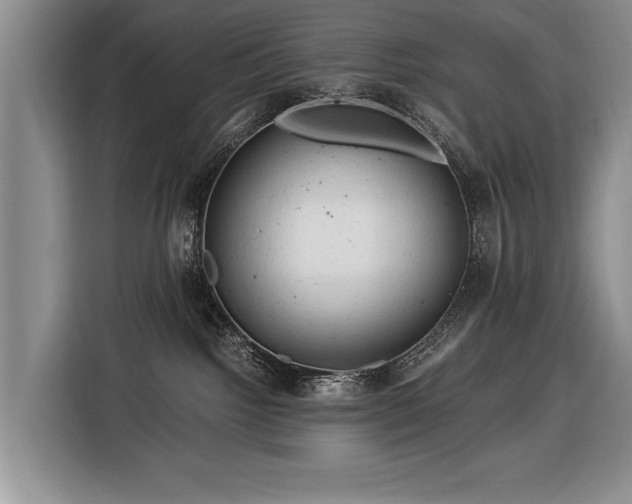 X0000116370092200912091246