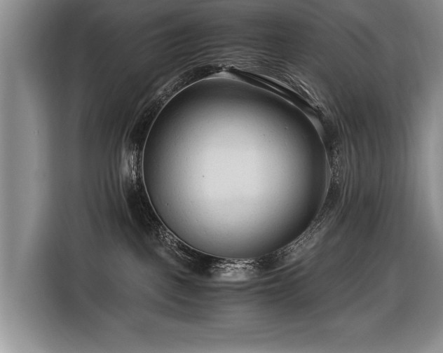 X0000116370093200912091246