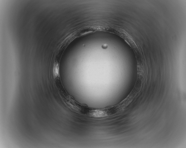 X0000116370095200912091246