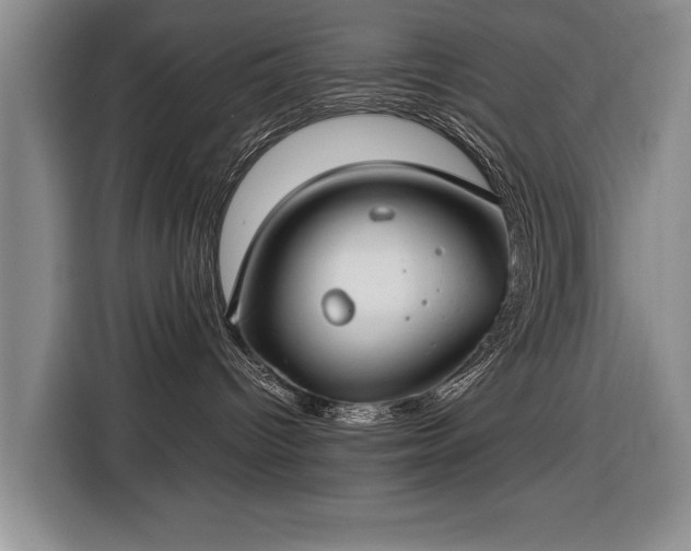 X0000116370096200912091246