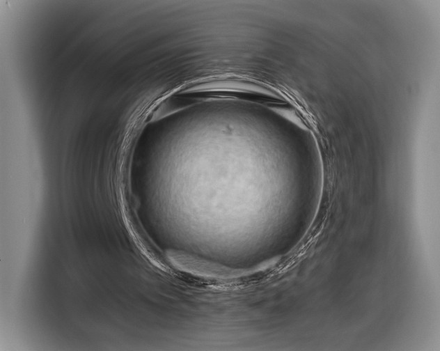 X0000116370097200912091246