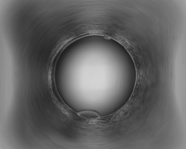 X0000116370098200912091246