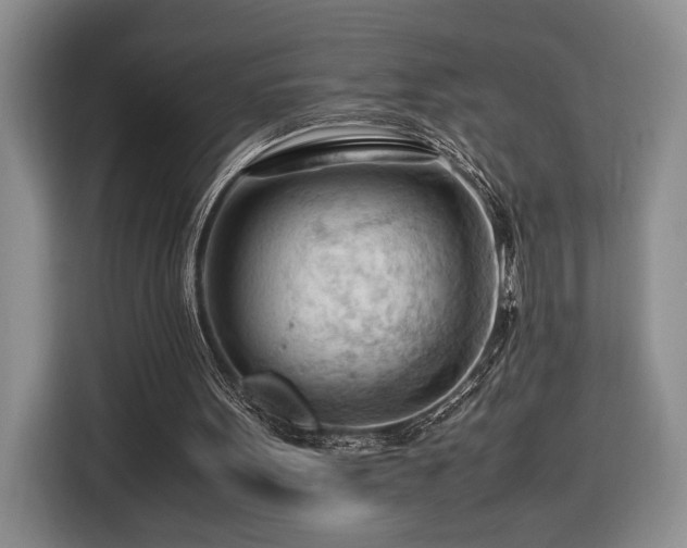 X0000116370099200912091246