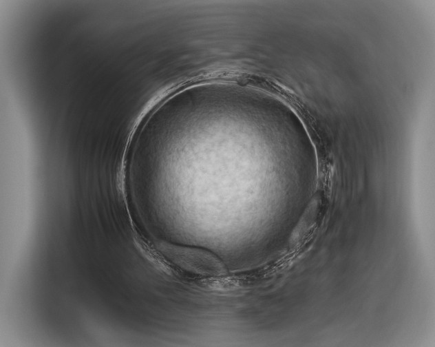 X0000116370100200912091246