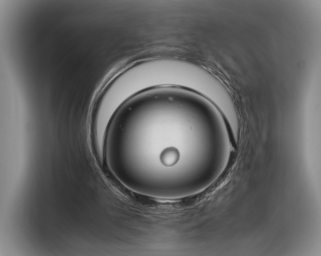 X0000116370101200912091246