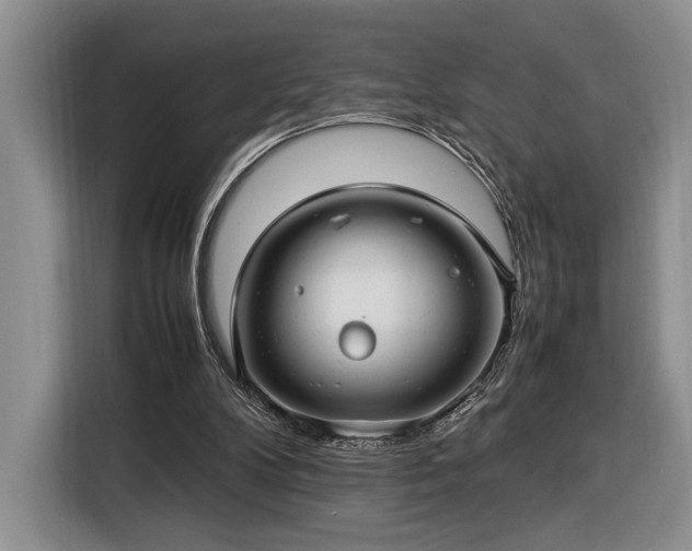 X0000116370104200912091246