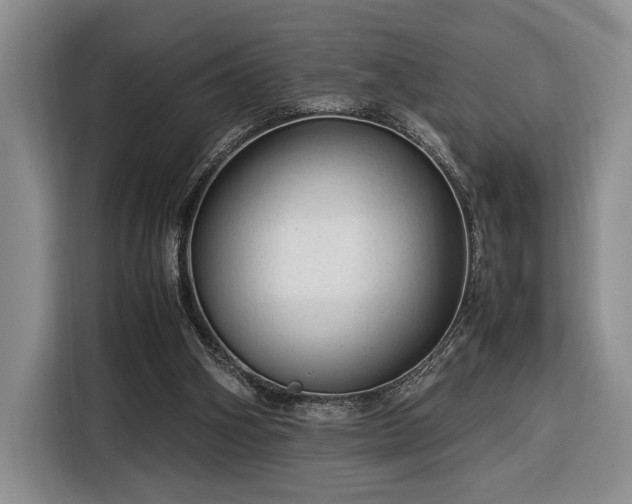 X0000116370106200912091246