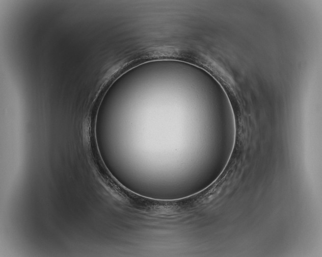 X0000116370107200912091246