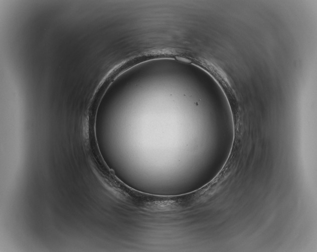 X0000116370108200912091246