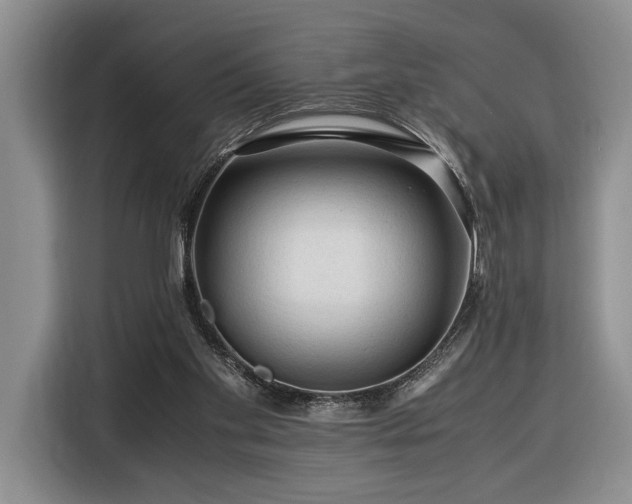 X0000116370109200912091246