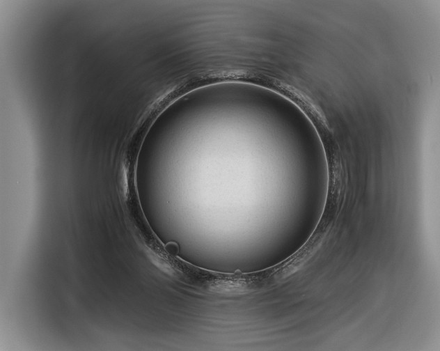 X0000116370110200912091246